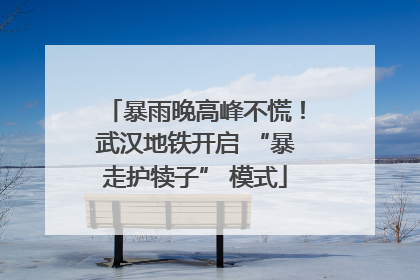 暴雨晚高峰不慌！武汉地铁开启 “暴走护犊子” 模式