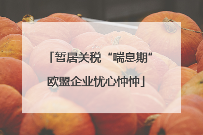 暂居关税“喘息期” 欧盟企业忧心忡忡