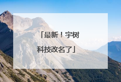 最新！宇树科技改名了