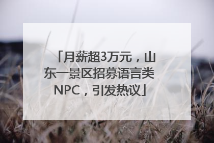 月薪超3万元，山东一景区招募语言类NPC，引发热议