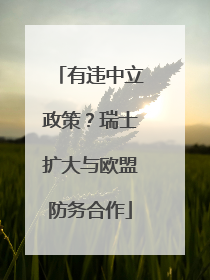 有违中立政策？瑞士扩大与欧盟防务合作