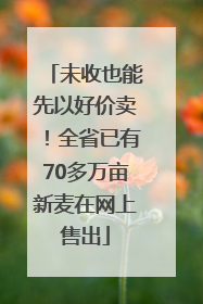 未收也能先以好价卖！全省已有70多万亩新麦在网上售出