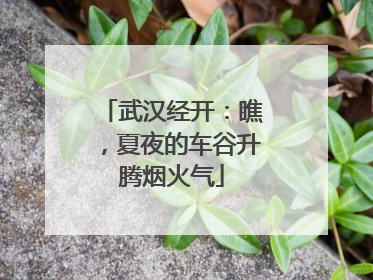 武汉经开：瞧，夏夜的车谷升腾烟火气