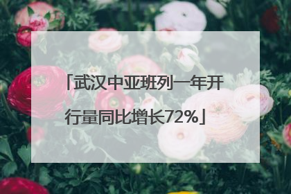 武汉中亚班列一年开行量同比增长72%