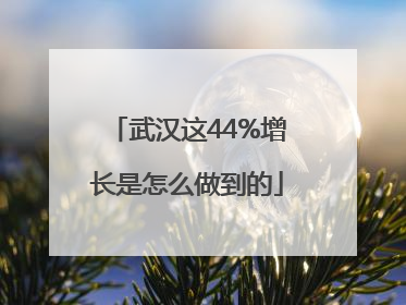 武汉这44%增长是怎么做到的