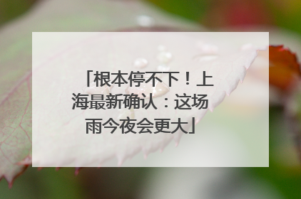 根本停不下！上海最新确认：这场雨今夜会更大