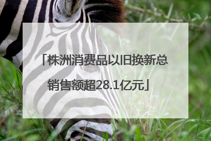 株洲消费品以旧换新总销售额超28.1亿元