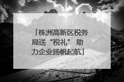 株洲高新区税务局送“税礼” 助力企业扬帆起航