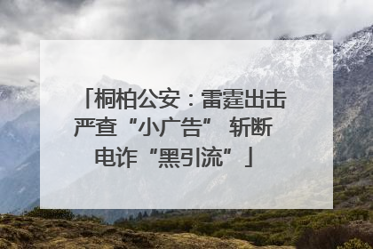 桐柏公安：雷霆出击严查“小广告” 斩断电诈“黑引流”