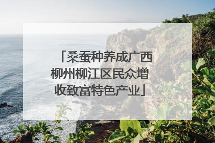 桑蚕种养成广西柳州柳江区民众增收致富特色产业
