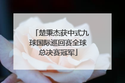 楚秉杰获中式九球国际巡回赛全球总决赛冠军