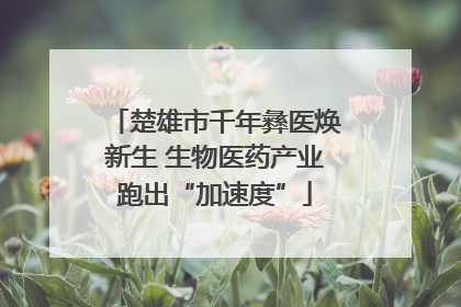 楚雄市千年彝医焕新生 生物医药产业跑出“加速度”
