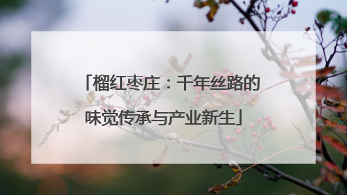 榴红枣庄：千年丝路的味觉传承与产业新生