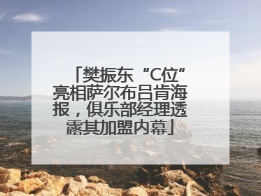 樊振东“C位”亮相萨尔布吕肯海报，俱乐部经理透露其加盟内幕