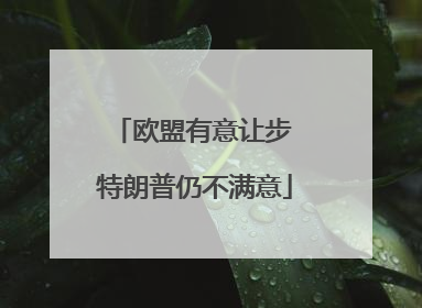 欧盟有意让步 特朗普仍不满意