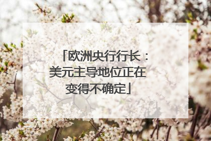 欧洲央行行长：美元主导地位正在变得不确定