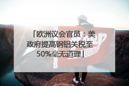 欧洲议会官员：美政府提高钢铝关税至50%毫无道理