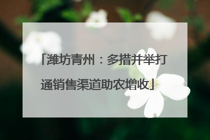 潍坊青州：多措并举打通销售渠道助农增收