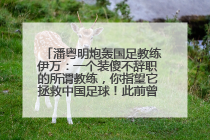 潘粤明炮轰国足教练伊万：一个装傻不辞职的所谓教练，你指望它拯救中国足球！此前曾多次发文评价国足