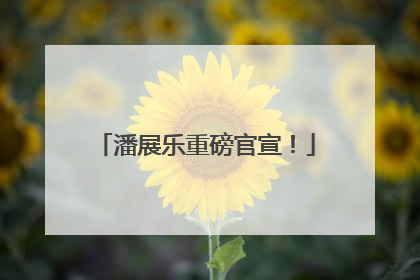 潘展乐重磅官宣！