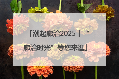 潮起廊洽2025丨“廊洽时光”等您来逛
