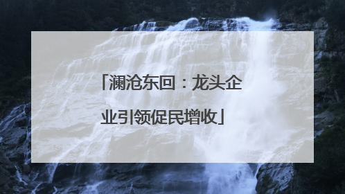 澜沧东回：龙头企业引领促民增收