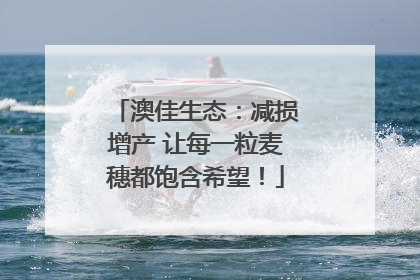 澳佳生态：减损增产 让每一粒麦穗都饱含希望！