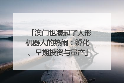 澳门也凑起了人形机器人的热闹：孵化、早期投资与量产