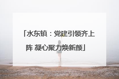 水东镇：党建引领齐上阵 凝心聚力焕新颜