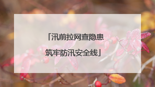 汛前拉网查隐患 筑牢防汛安全线