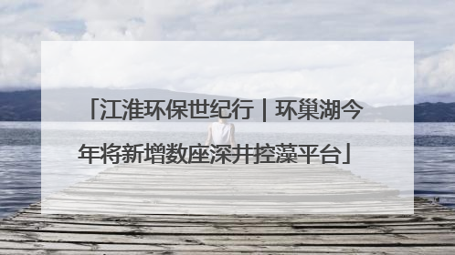 江淮环保世纪行｜环巢湖今年将新增数座深井控藻平台