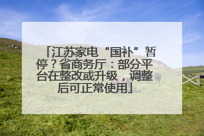 江苏家电“国补”暂停？省商务厅：部分平台在整改或升级，调整后可正常使用