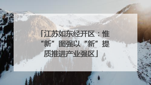 江苏如东经开区：惟“新”图强以“新”提质推进产业强区