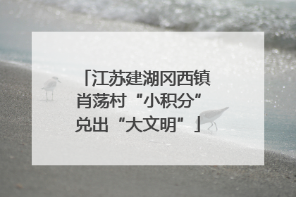 江苏建湖冈西镇肖荡村“小积分”兑出“大文明”