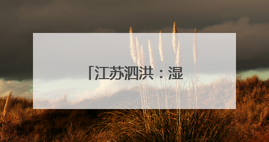 江苏泗洪：湿地白鹭育雏忙