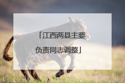 江西两县主要负责同志调整