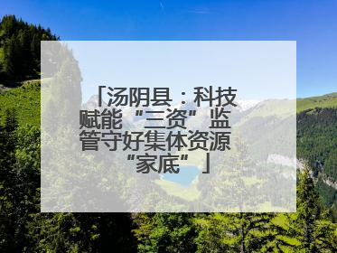 汤阴县：科技赋能“三资”监管守好集体资源“家底”
