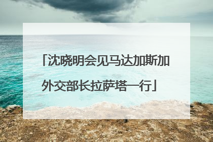沈晓明会见马达加斯加外交部长拉萨塔一行