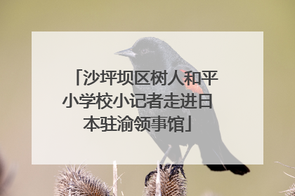 沙坪坝区树人和平小学校小记者走进日本驻渝领事馆