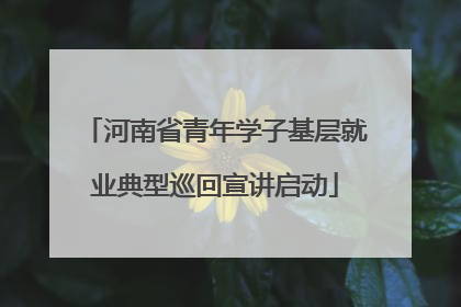 河南省青年学子基层就业典型巡回宣讲启动