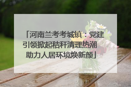 河南兰考考城镇：党建引领掀起秸秆清理热潮 助力人居环境焕新颜