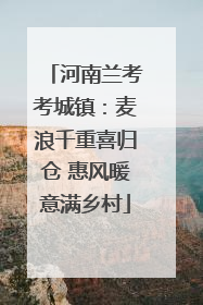 河南兰考考城镇：麦浪千重喜归仓 惠风暖意满乡村