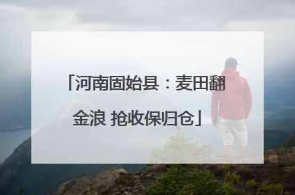 河南固始县：麦田翻金浪 抢收保归仓