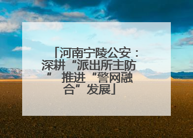 河南宁陵公安：深耕“派出所主防” 推进“警网融合”发展