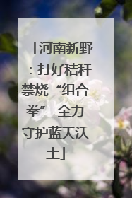 河南新野：打好秸秆禁烧“组合拳” 全力守护蓝天沃土