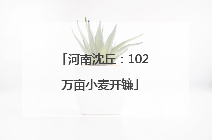 河南沈丘：102 万亩小麦开镰
