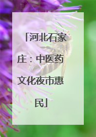 河北石家庄：中医药文化夜市惠民