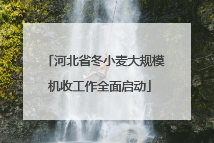 河北省冬小麦大规模机收工作全面启动