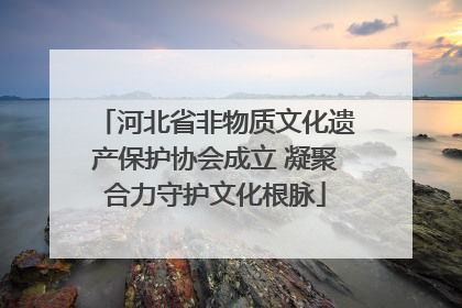 河北省非物质文化遗产保护协会成立 凝聚合力守护文化根脉