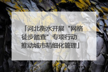 河北衡水开展“网格徒步踏查”专项行动 推动城市精细化管理